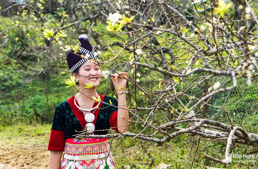 Thời tiết hôm nay 4/1: Trung bộ ngày nắng, đêm không mưa