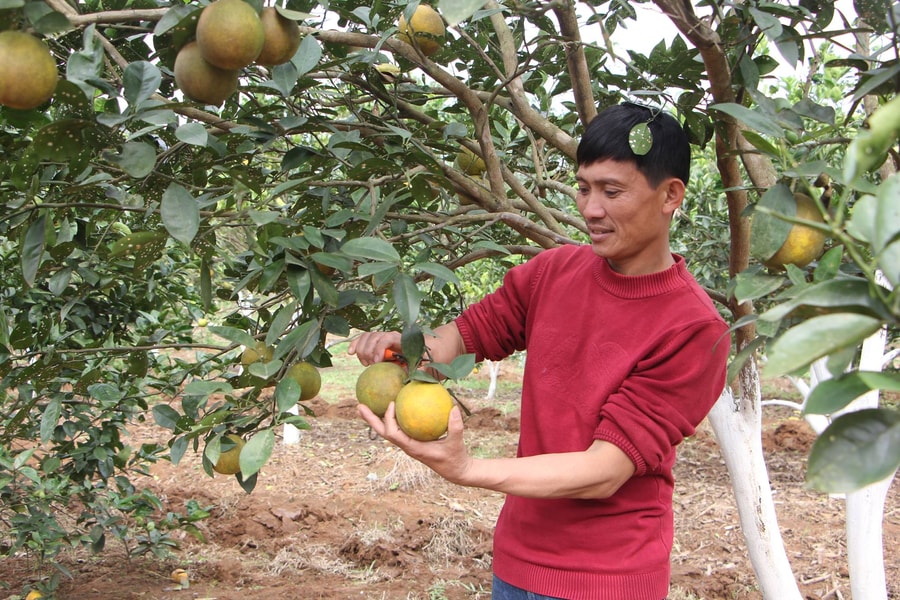 Sáng lại cuộc đời