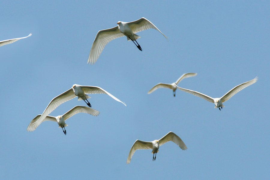 Câu chuyện bộ óc, máy tính và bầu trời