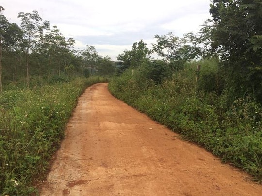 Trưởng phòng TN-MT cấp đất công trái phép cho vợ chủ tịch huyện