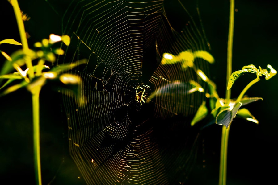 Thời tiết 16/3: Trung bộ ngày có mưa rào và dông, đêm trời lạnh