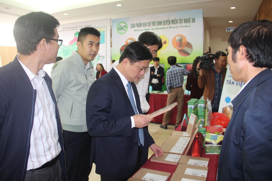 Nghệ An định hướng trở thành trung tâm sản xuất chế biến gỗ lớn nhất Bắc Trung Bộ