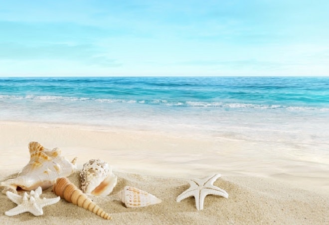 Những mầm bệnh tiềm ẩn từ cát biển không thể thờ ơ