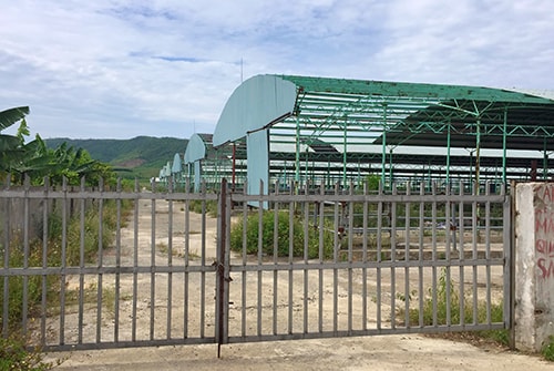 Con trai ông Trần Bắc Hà bị khởi tố