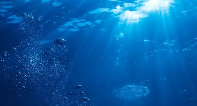 Tìm thấy vi sinh vật ăn dầu mỏ trong vũng Mariana