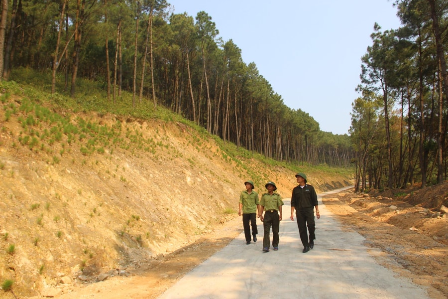 Đưa vào sử dụng đường băng bê tông cản lửa tại khu mộ bà Hoàng Thị Loan