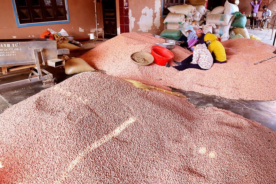 Nghệ An vào mùa xáo lạc