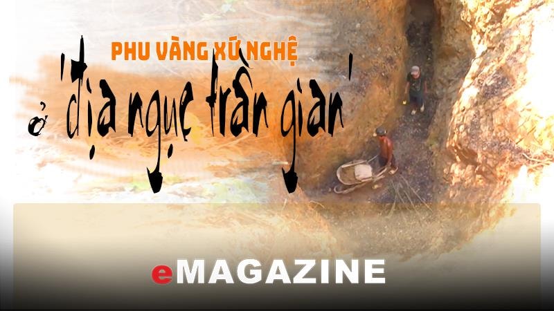 Phu vàng xứ Nghệ ở ‘địa ngục trần gian’