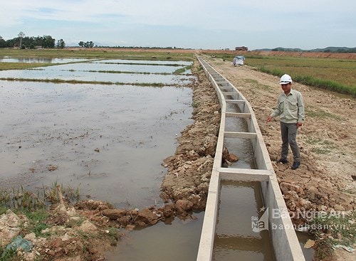 Công bố quyết định kiểm toán nhiều dự án tại Nghệ An