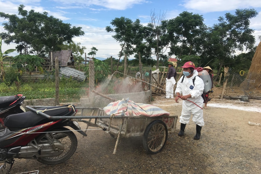 Đô Lương tái xuất hiện 2 ổ dịch tả lợn châu Phi