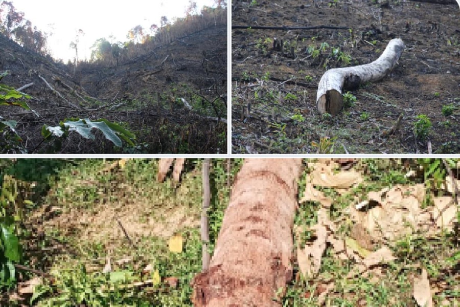 Chủ tịch UBND huyện Quỳ Châu chỉ đạo xử lý vụ việc vi phạm về phá rừng ở xã Châu Thuận