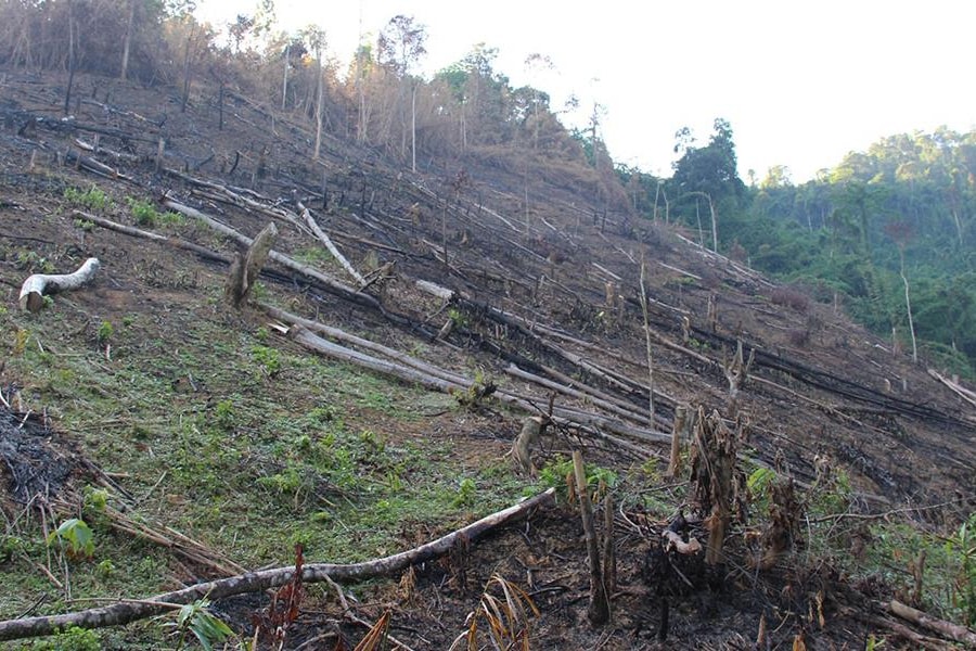 Lãnh đạo huyện Quỳ Châu đối thoại với người dân sau vụ phá rừng