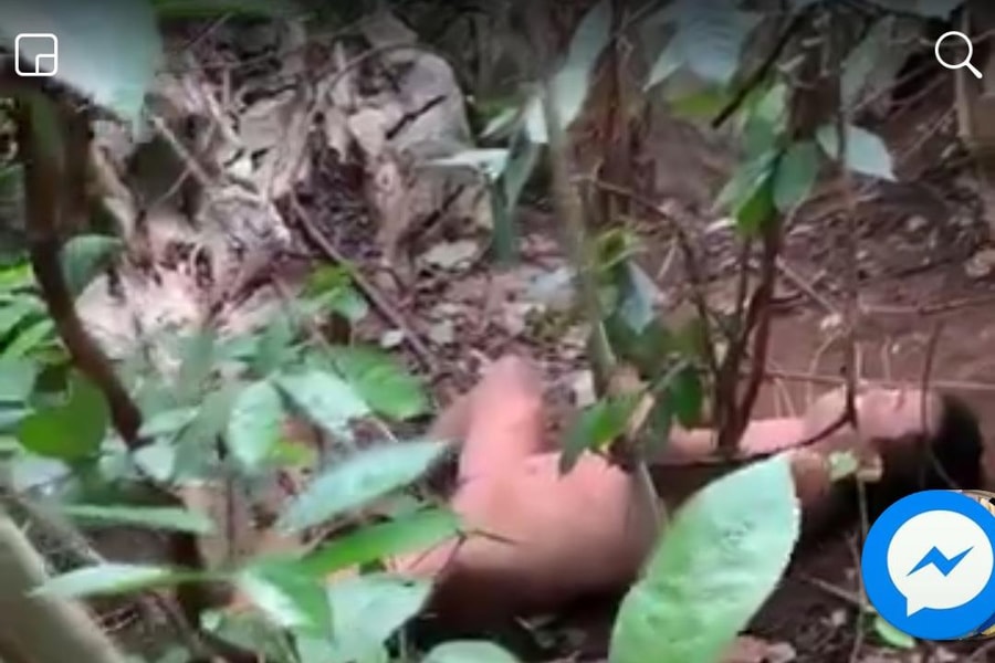 Nghệ An: Phát hiện thi thể người đàn ông lõa thể trong rừng