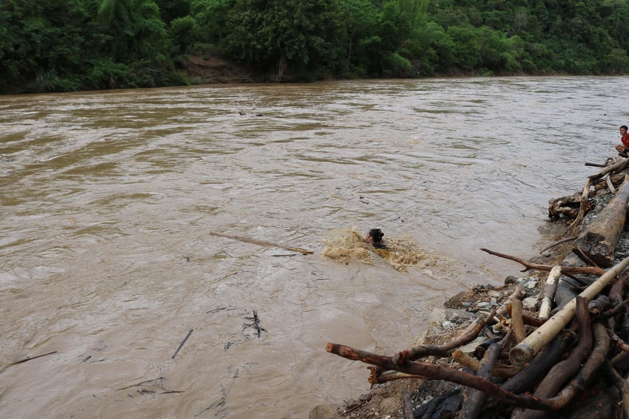 Nghệ An: Người dân liều mình vớt củi, gỗ giữa dòng nước lũ chảy xiết