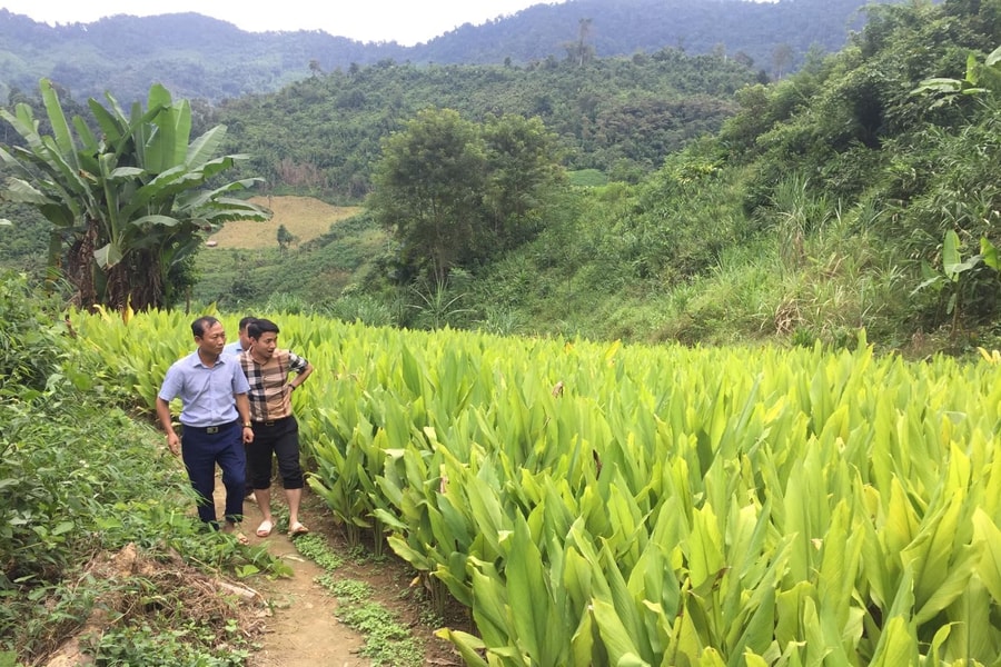 Đầu tư gần 19 tỷ đồng xây dựng các mô hình ứng dụng tiến bộ khoa học và công nghệ