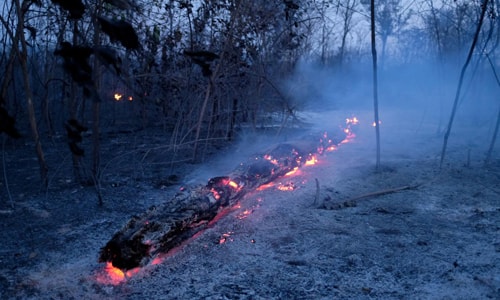 Rừng Amazon dự báo tiếp tục cháy trong vài tuần tới 