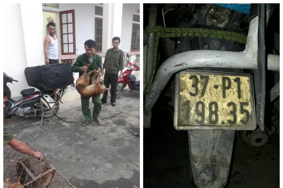 Bắt nghi phạm trong đường dây trộm chó liên huyện ở Nghệ An