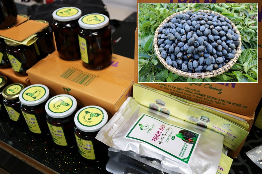 Chương trình OCOP tiếp sức cho đặc sản Nghệ An 