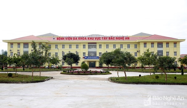 Cặp song sinh tử vong bất thường ở Nghệ An 