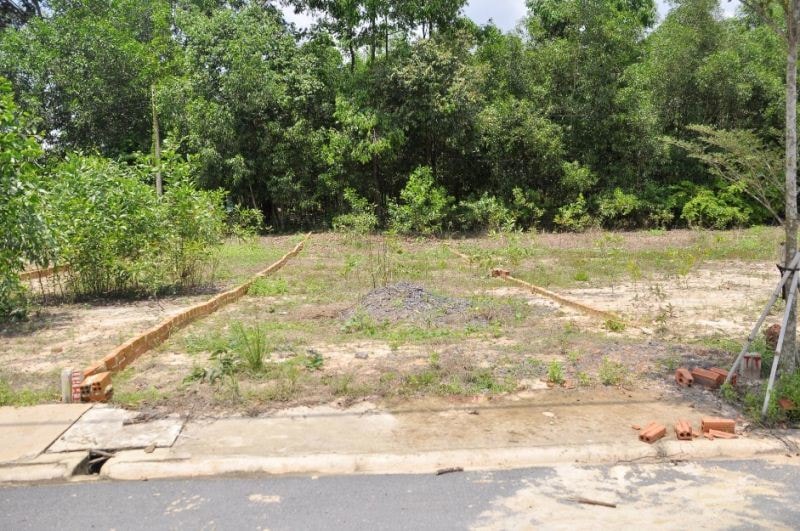 Vợ chồng Nghệ An tay trắng vẫn liều mua đất, 4 năm đút túi gần 3 tỷ