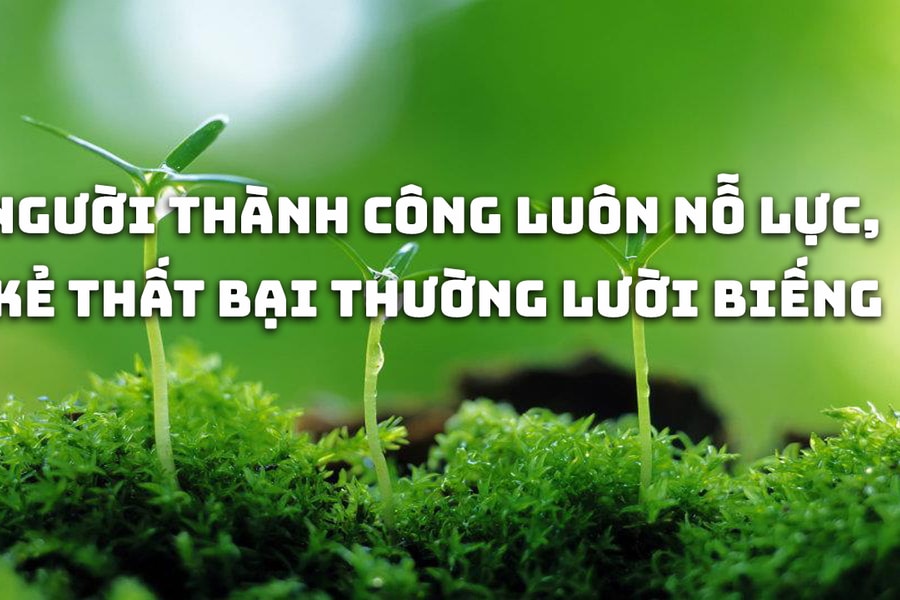 Chuyện cuối tuần: Người thành công luôn nỗ lực, kẻ thất bại thường lười biếng