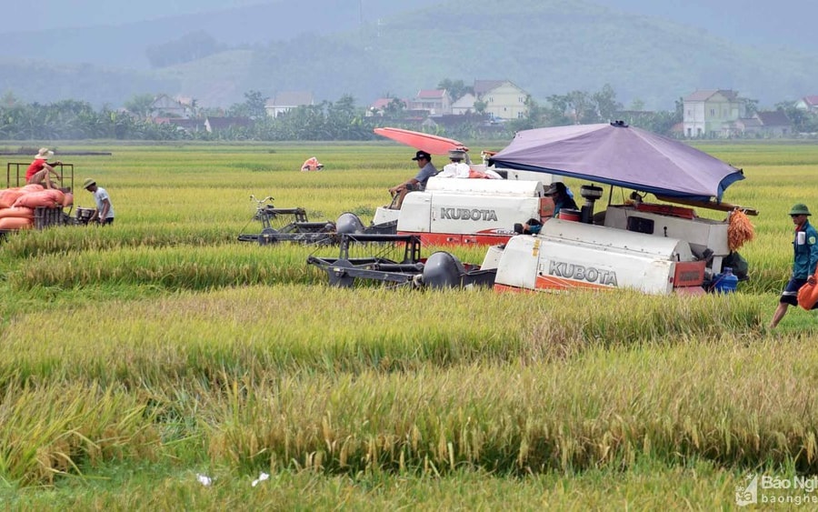 Xây dựng nền nông nghiệp hiện đại, thích ứng với biến đổi khí hậu