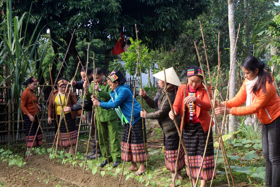 'Sắp xếp' lại cuộc sống cho người Đan Lai