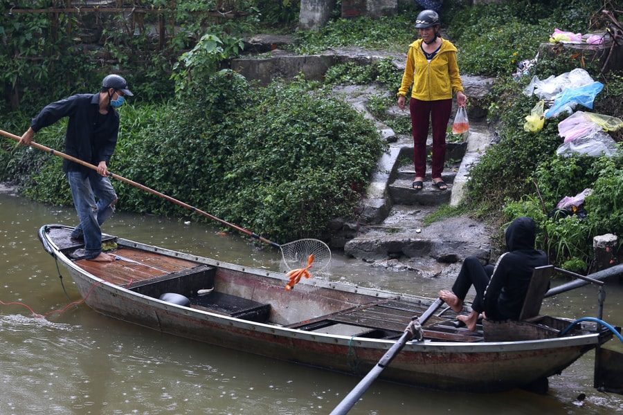 Cá chép ông Táo vừa thả đã bị kích điện vợt bắt