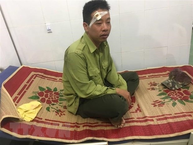 Một vụ kiểm lâm bị các đối tượng dùng dao, gậy tấn công