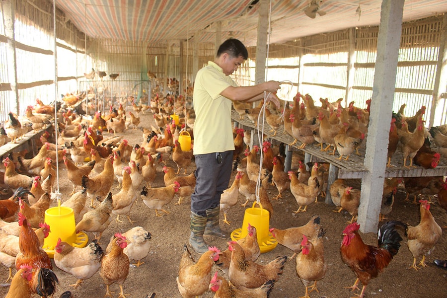 Gần 6.000 nông dân Nghệ An được đào tạo nghề nông nghiệp