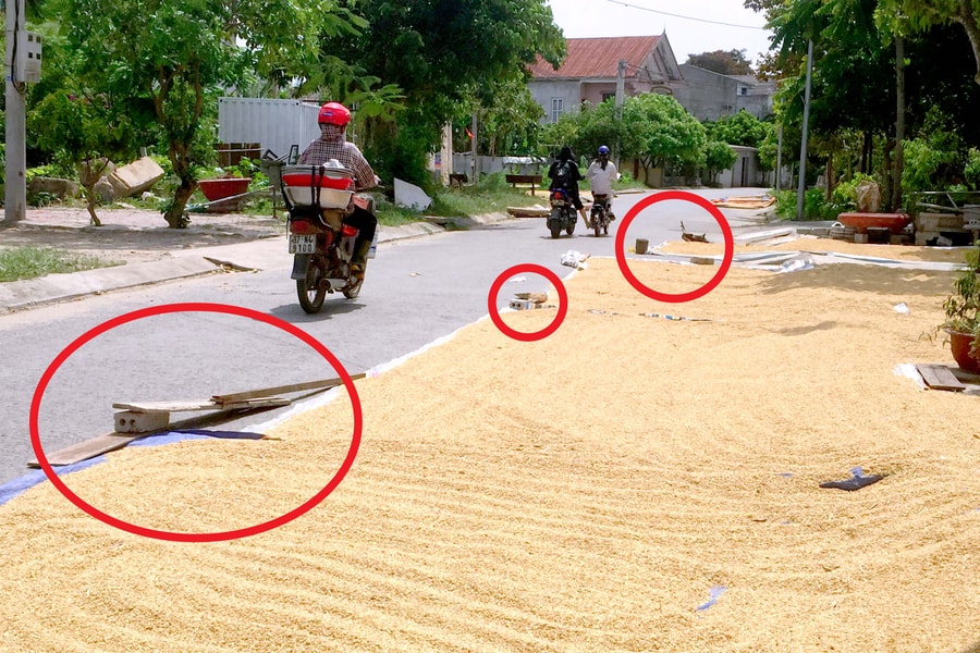 Nghệ An: Nhiều tuyến đường bị lấn chiếm làm nơi phơi lúa 