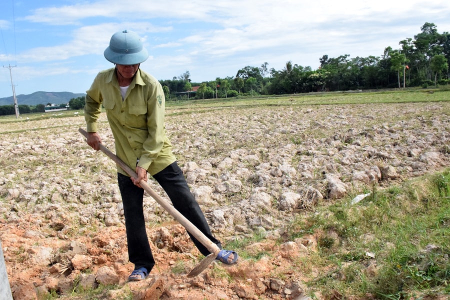 Cơn 'khát' truyền đời ở xã 'sinh đôi' của Nghệ An
