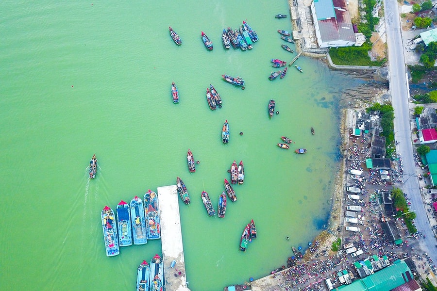 Gần 63 nghìn tấn thủy sản qua hệ thống cảng cá ở Nghệ An