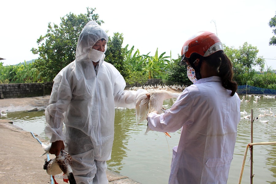 Tuyên truyền, phổ biến các nội dung của Luật Chăn nuôi