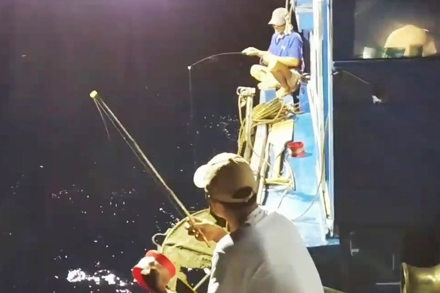 Ngư dân Nghệ An xuyên đêm bám biển đánh cá hố