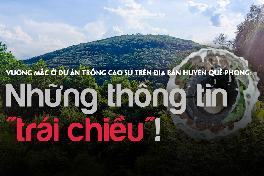 Những thông tin 'trái chiều' tại dự án trồng cao su ở Quế Phong