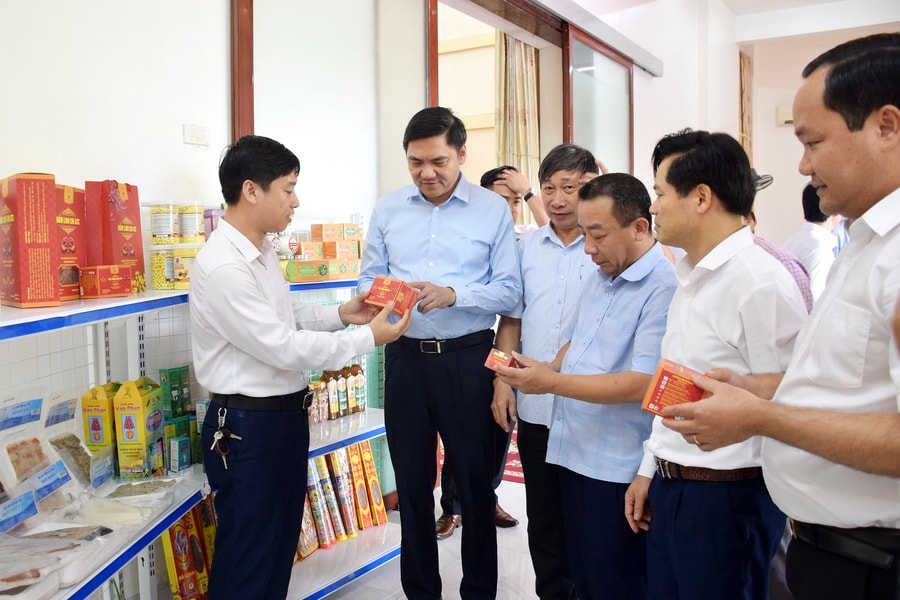 Nghệ An tiếp tục xây dựng NTM nâng cao, nông thôn mới kiểu mẫu