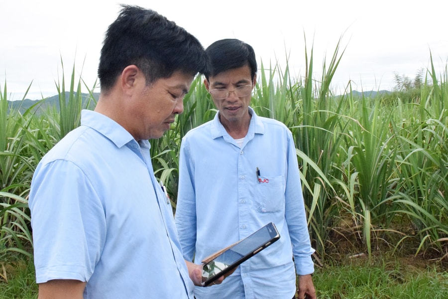 Công ty CP Mía đường Sông Con ứng dụng công nghệ trong quản lý vùng nguyên liệu