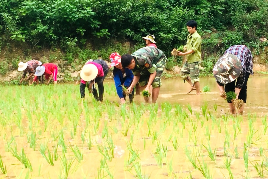 Nỗ lực tạo nguồn cho chi bộ vùng đặc thù