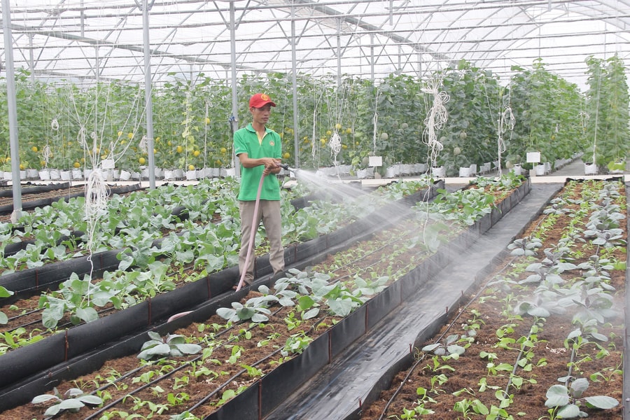 Tạo động lực mới, sớm đưa nghị quyết vào cuộc sống