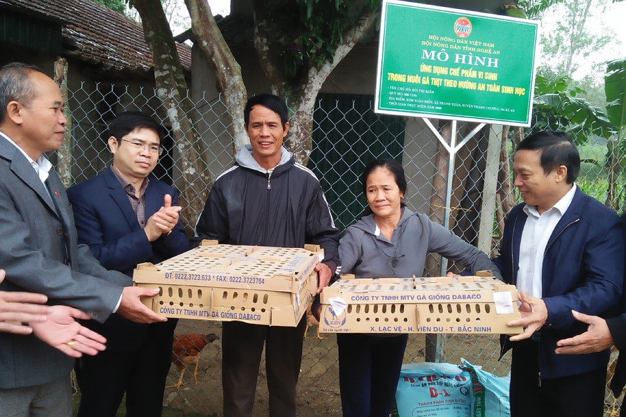 Hội Nông dân trao hơn 4.000 con gà giống cho Thanh Chương 
