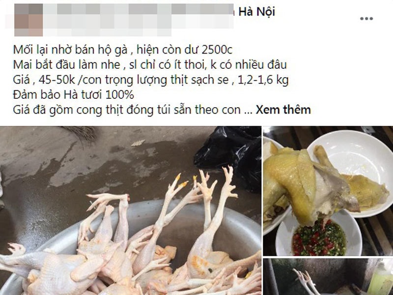 Gà ri 45 nghìn/kg, sự thật được người nuôi tiết lộ