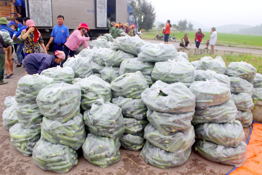 Nghệ An tăng cường kết nối tiêu thụ nông sản sạch 