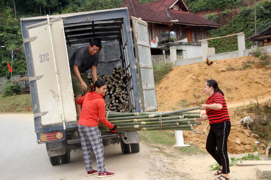 Lá dong, ống giang từ vùng cao Nghệ An hối hả về xuôi phục vụ Tết