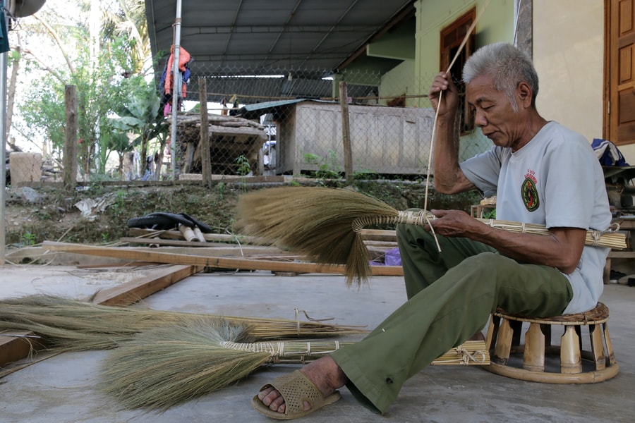 Tương Dương khuyến khích người dân khoanh vùng bảo vệ cây đót