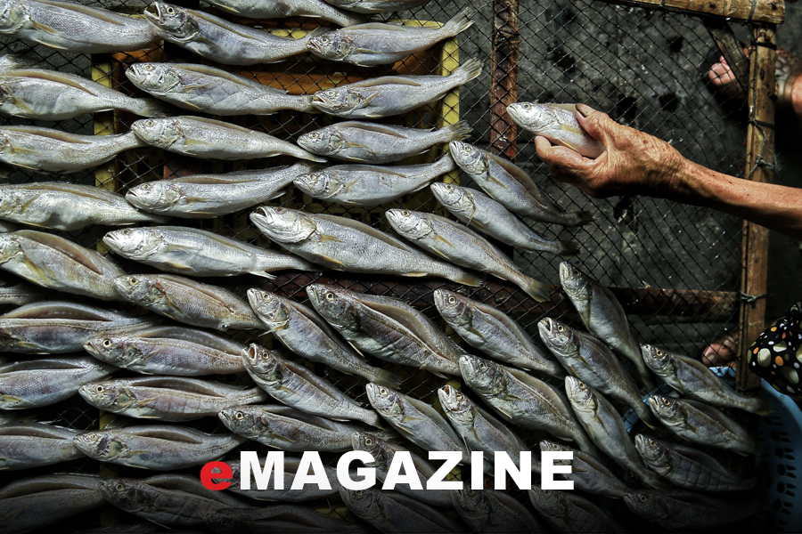 Về Cửa Lò thưởng thức ‘quà tặng’ biển khơi