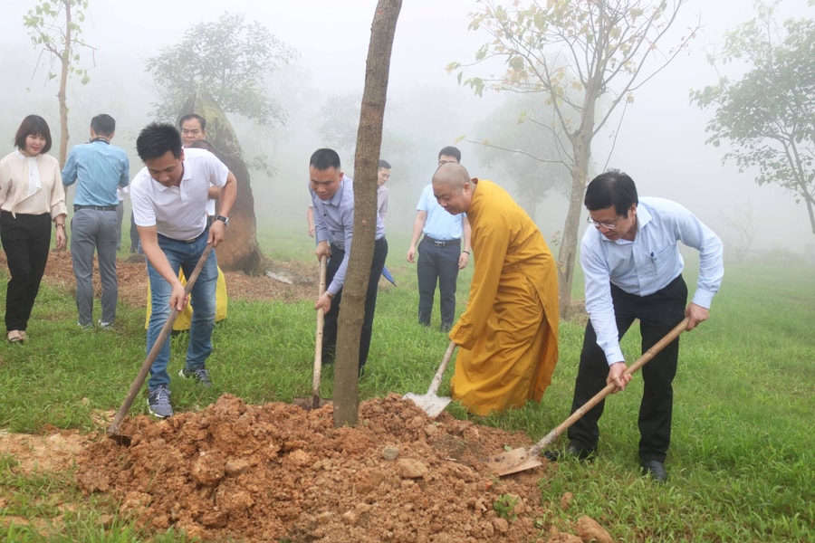 Chương trình 'Chùa Xanh' trồng hơn 1.100 cây xanh trên núi Đại Huệ