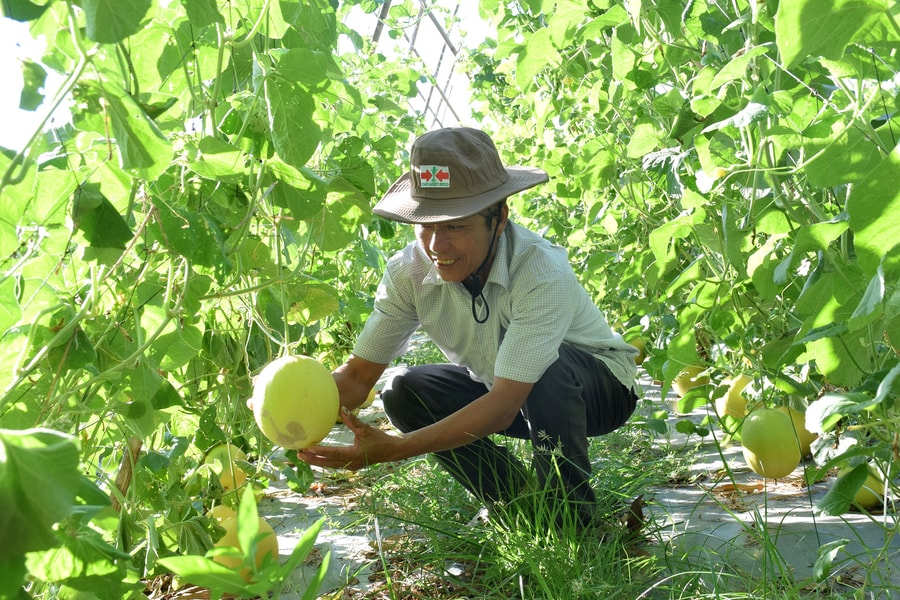 Nghệ An: 20 xã phấn đấu về đích nông thôn mới nâng cao