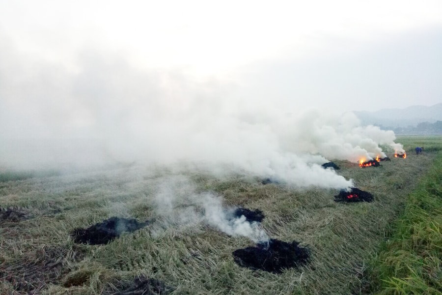 Nghệ An: Làng quê ngột ngạt khói rơm rạ đốt trên các cánh đồng 