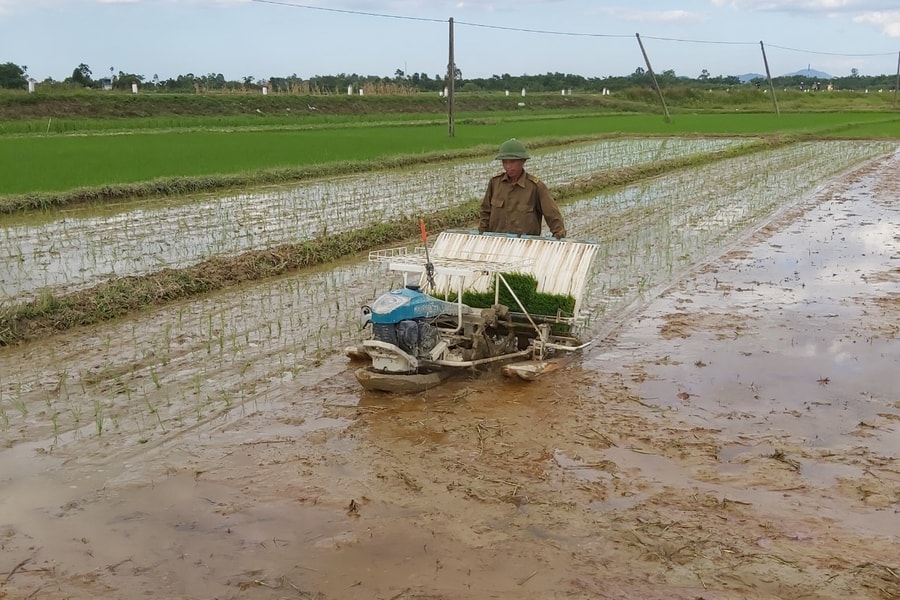Nghệ An: Hội Nông dân đứng ra nhận ruộng hoang canh tác